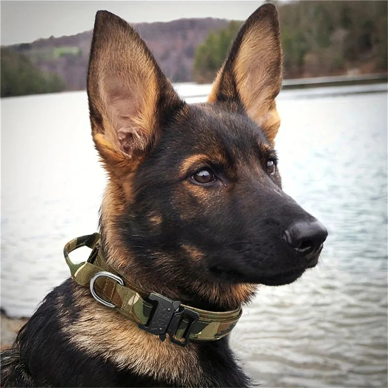 Elite K9 Command Collar