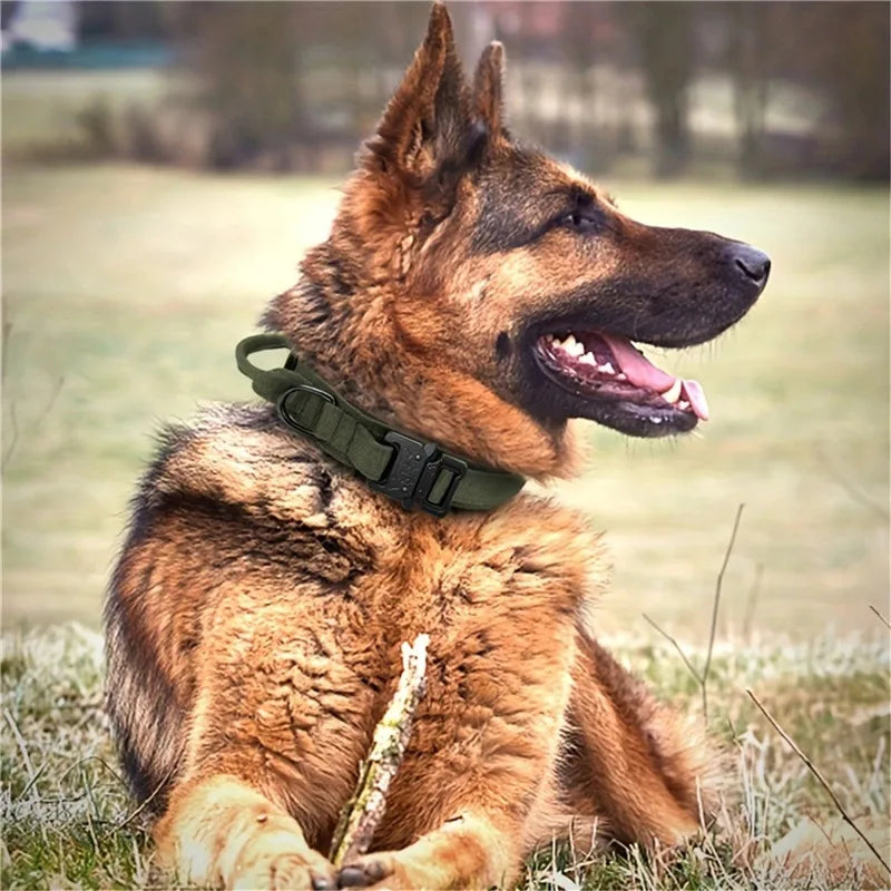 Elite K9 Command Collar