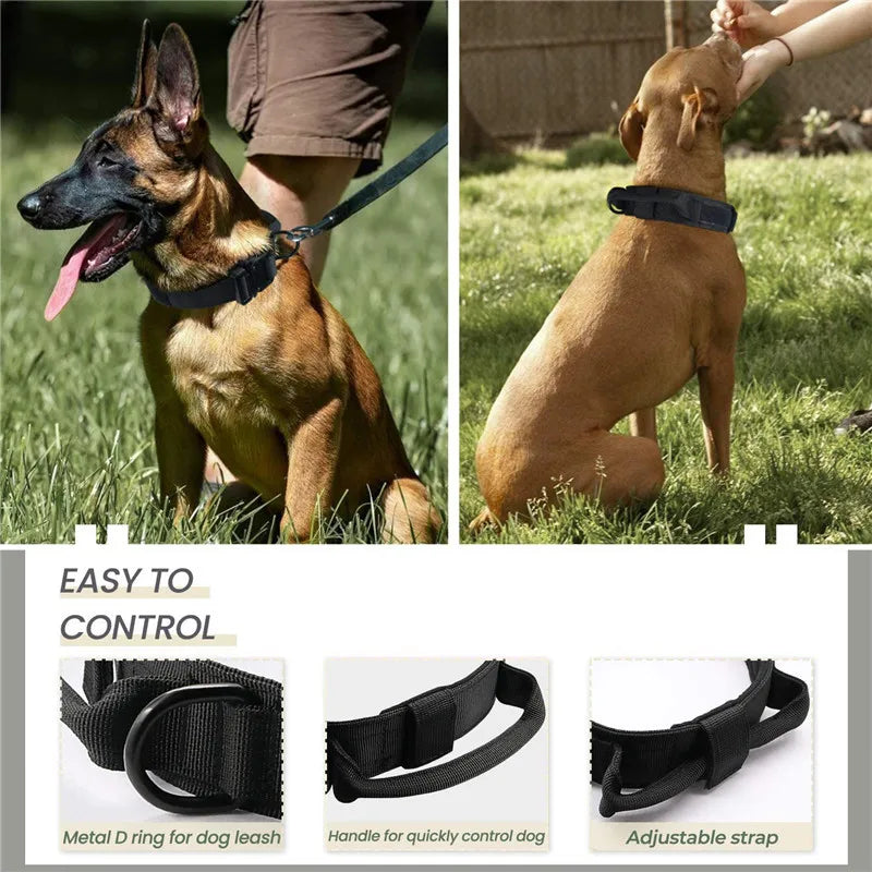 Elite K9 Command Collar