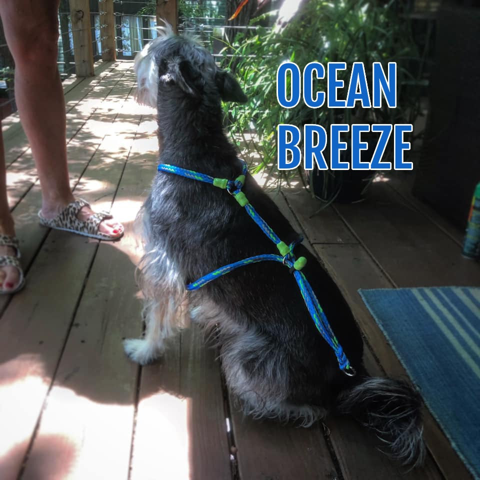 Cool Mint No Pull Happy Harness