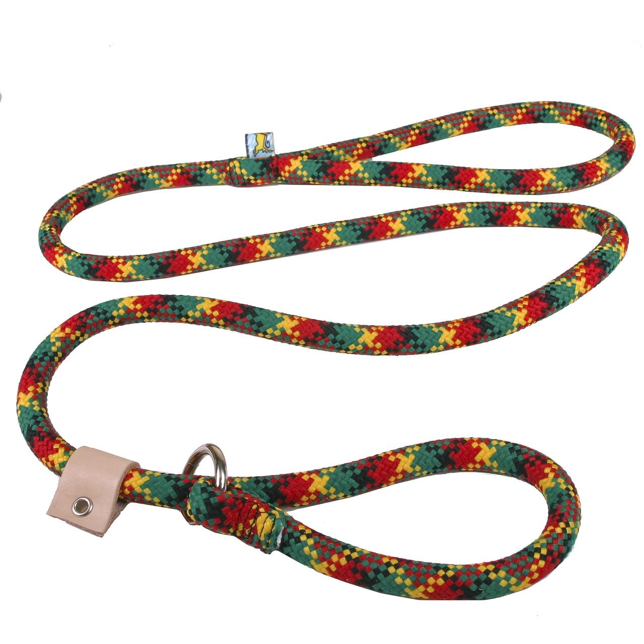 Multi Color Braided Leash