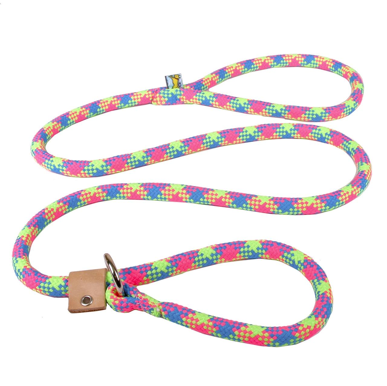 Multi Color Braided Leash
