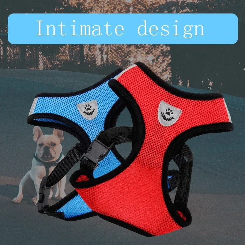 Cross Paw Comfort Harness