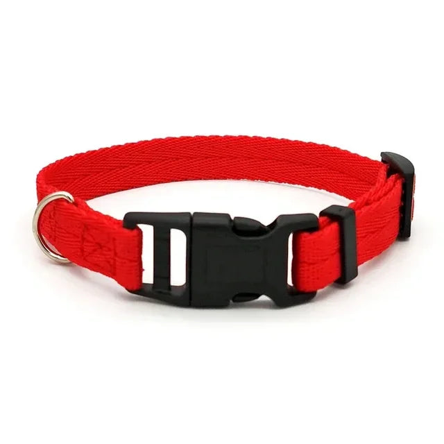 Flex Fit Collar