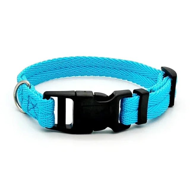 Flex Fit Collar