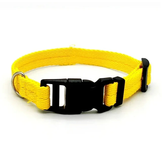 Flex Fit Collar