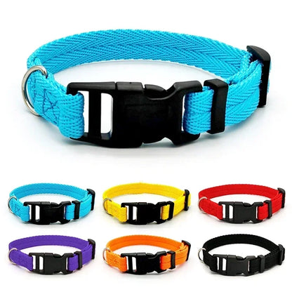 Flex Fit Collar