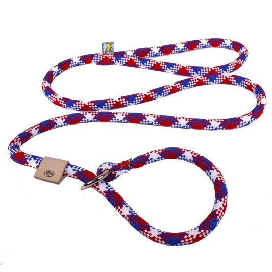 Multi Color Braided Leash