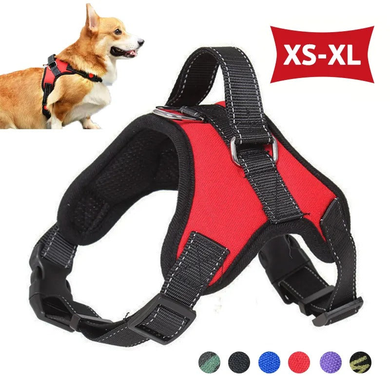 Safe Saddle K9 Harness