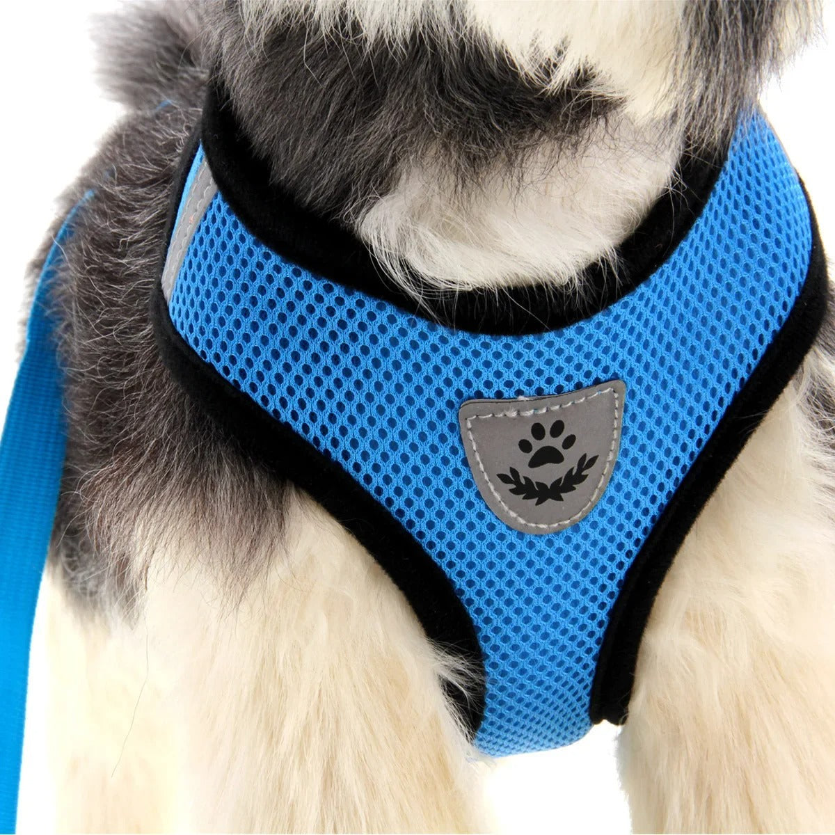 Cross Paw Comfort Harness