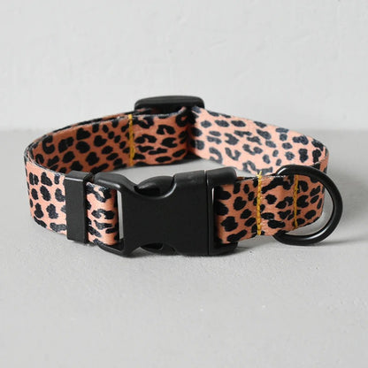 Boho K9 ID Collar