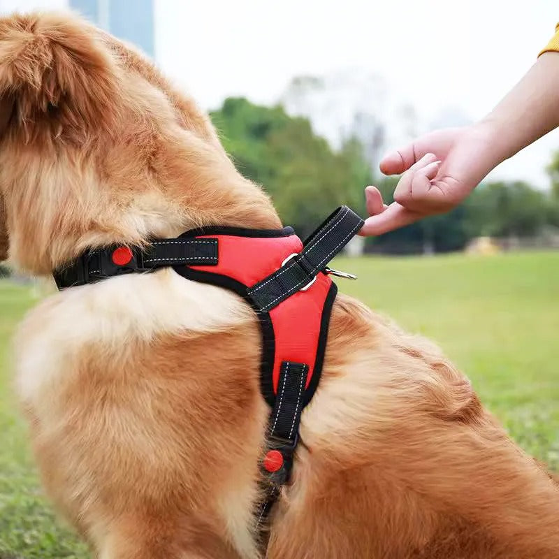 Safe Saddle K9 Harness