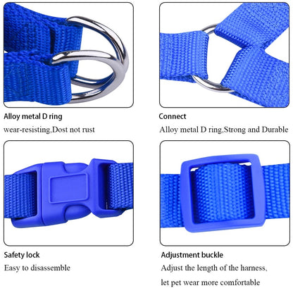 No Pull Reflective Harness