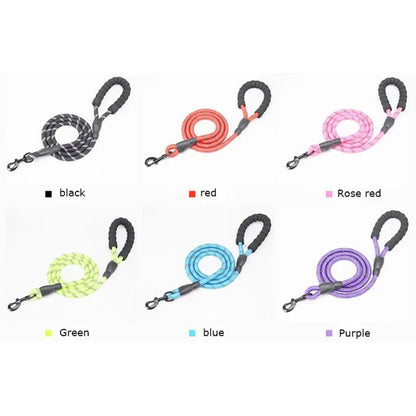 Safe Paws Comfort Leash