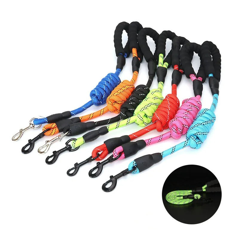 Safe Paws Comfort Leash