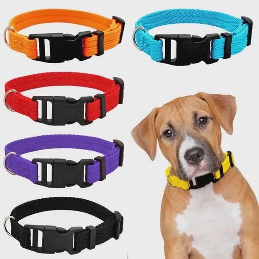 Flex Fit Collar