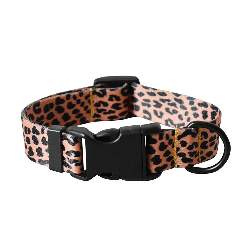 Boho K9 ID Collar