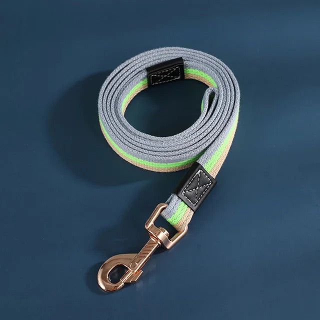 Secure Strap Training Leash