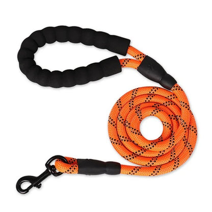 Safe Paws Comfort Leash