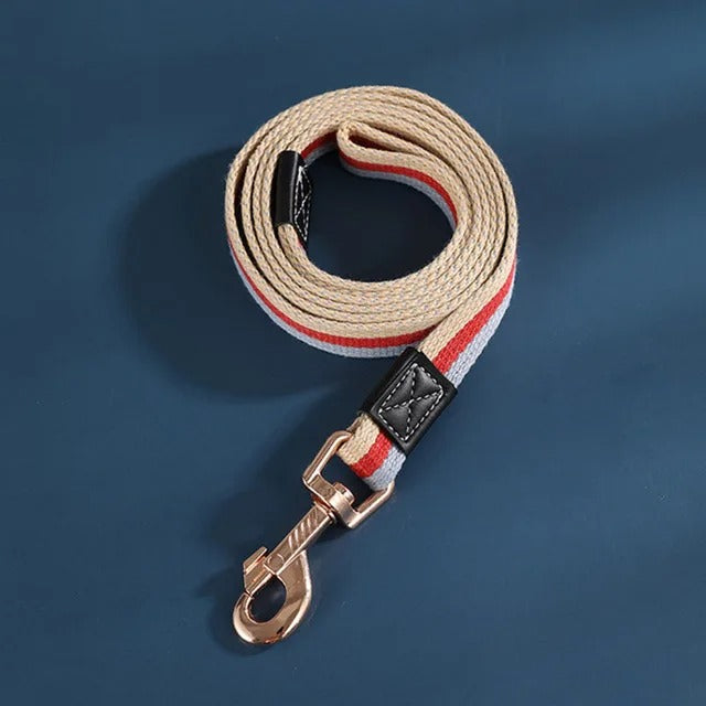 Secure Strap Training Leash