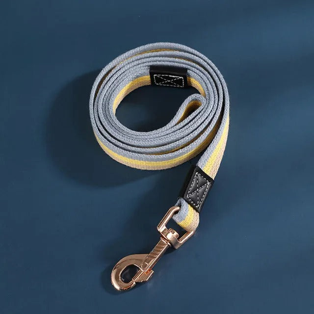 Secure Strap Training Leash